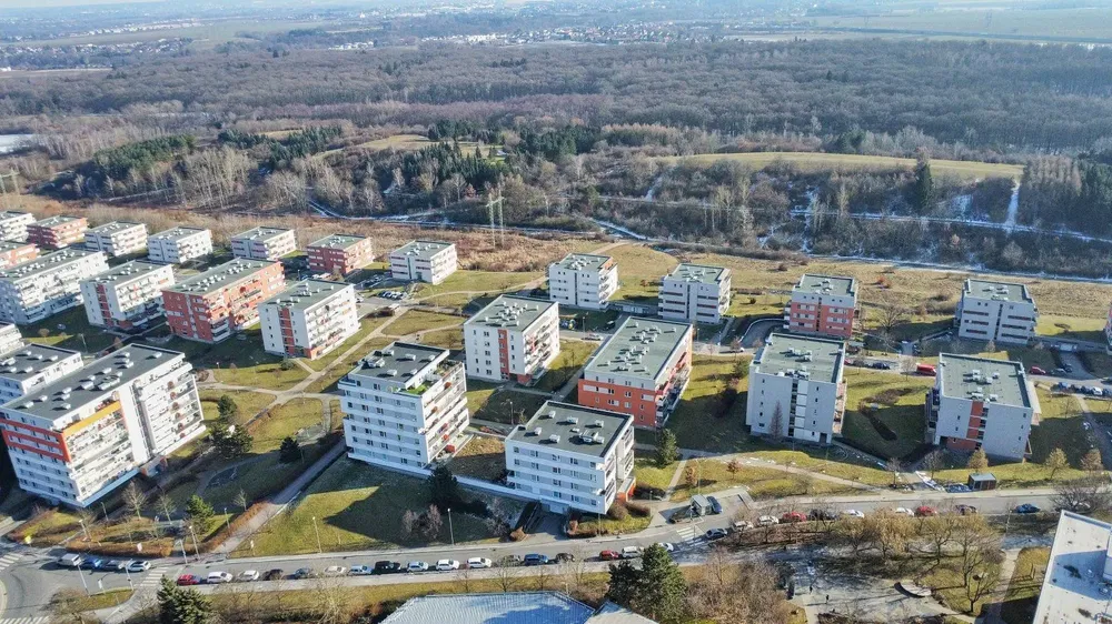 Diğer