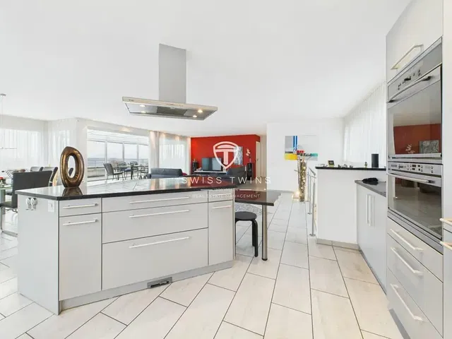Keuken; keukenapparatuur, tegelvloer, natuurlijk licht, moderne stijl