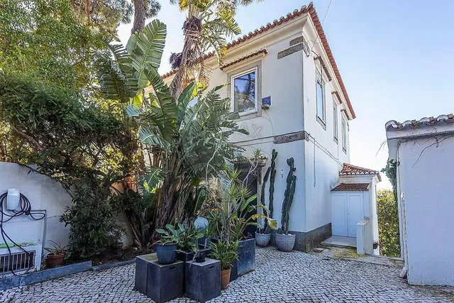 House and surroundings; view, natural light