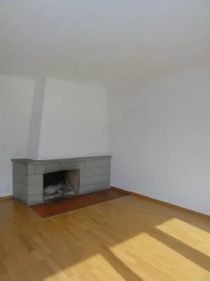 Salón; chimenea, suelo de madera, luz natural