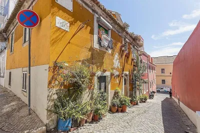 Кућа и околина; поглед, природно светло