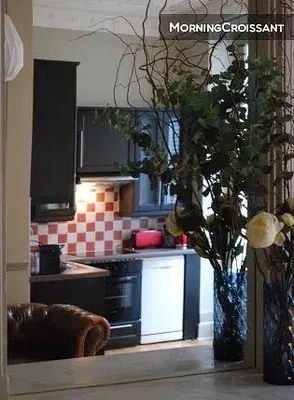 Mutfak; mutfak aletleri, doğal ışık