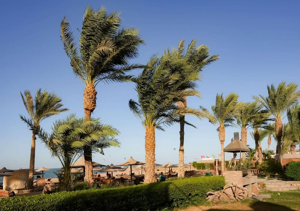 Haus und umgebung; blick, tageslicht