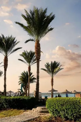 Sonstiges; blick, tageslicht