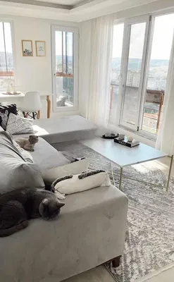 Dnevna soba; pogled, prirodno svjetlo, moderni stil