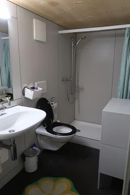 Badezimmer; tageslicht, renoviert