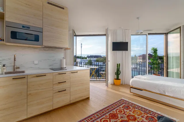 Kitchen; view, kitchen appliances, natural light, modern style