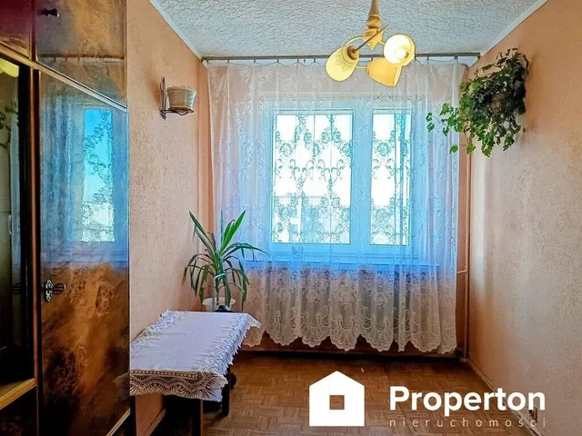 Living room; natural light, rustic style