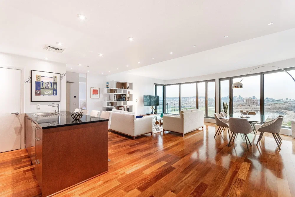 Salon; vue, parquet, lumière naturelle, style moderne