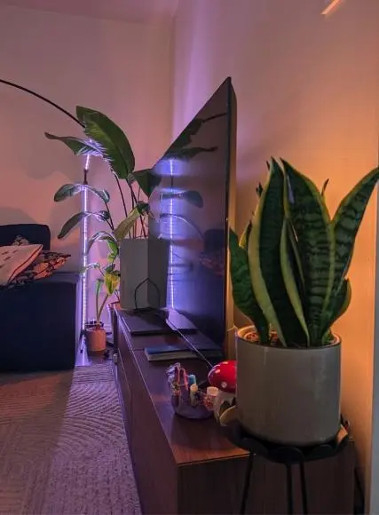 Salon; lumière naturelle, style moderne