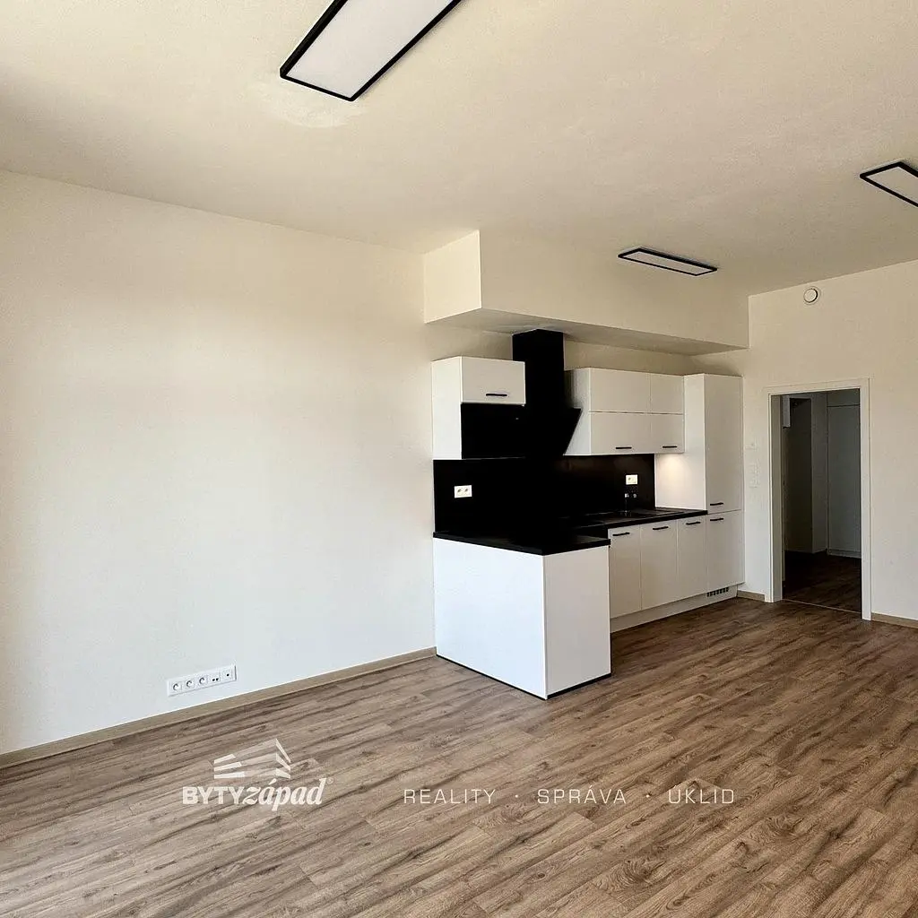 Küche; holzboden, tageslicht, renoviert