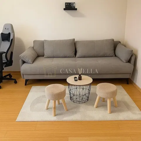 Salon; parquet, style moderne, lumière naturelle