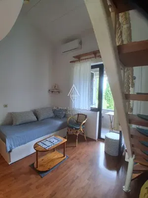 Σαλόνι; ξύλινο πάτωμα, φυσικό φως, ρουστίκ στυλ