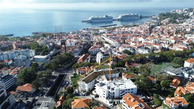 House and surroundings; view