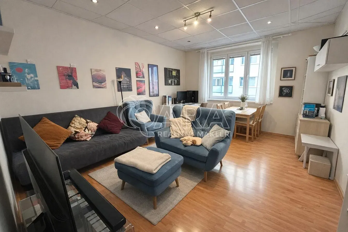 Salon; style moderne, parquet, lumière naturelle