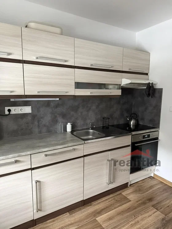 Cucina; elettrodomestici, ristrutturato, luce naturale, stile moderno