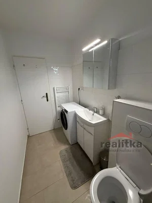 Toilette; pavimento in piastrelle, ristrutturato, luce naturale, stile moderno