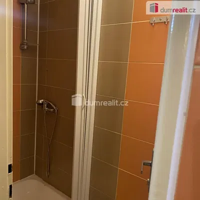 Badezimmer; fliesenboden, tageslicht, renoviert