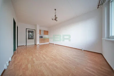 Wohnzimmer; holzboden, tageslicht
