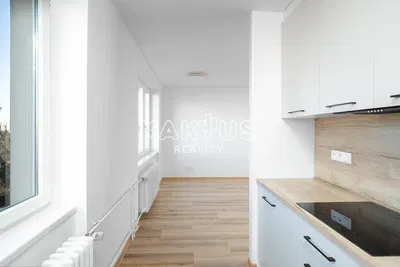 Kuchyně; výhled, kuchyňské spotřebiče, dřevěná podlaha, přirozené světlo, moderní styl, po rekonstrukci