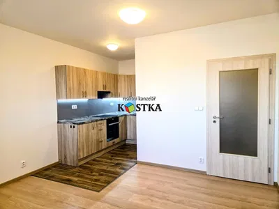 Cozinha; eletrodomésticos, renovado, luz natural, estilo moderno, chão de azulejo, chão de madeira