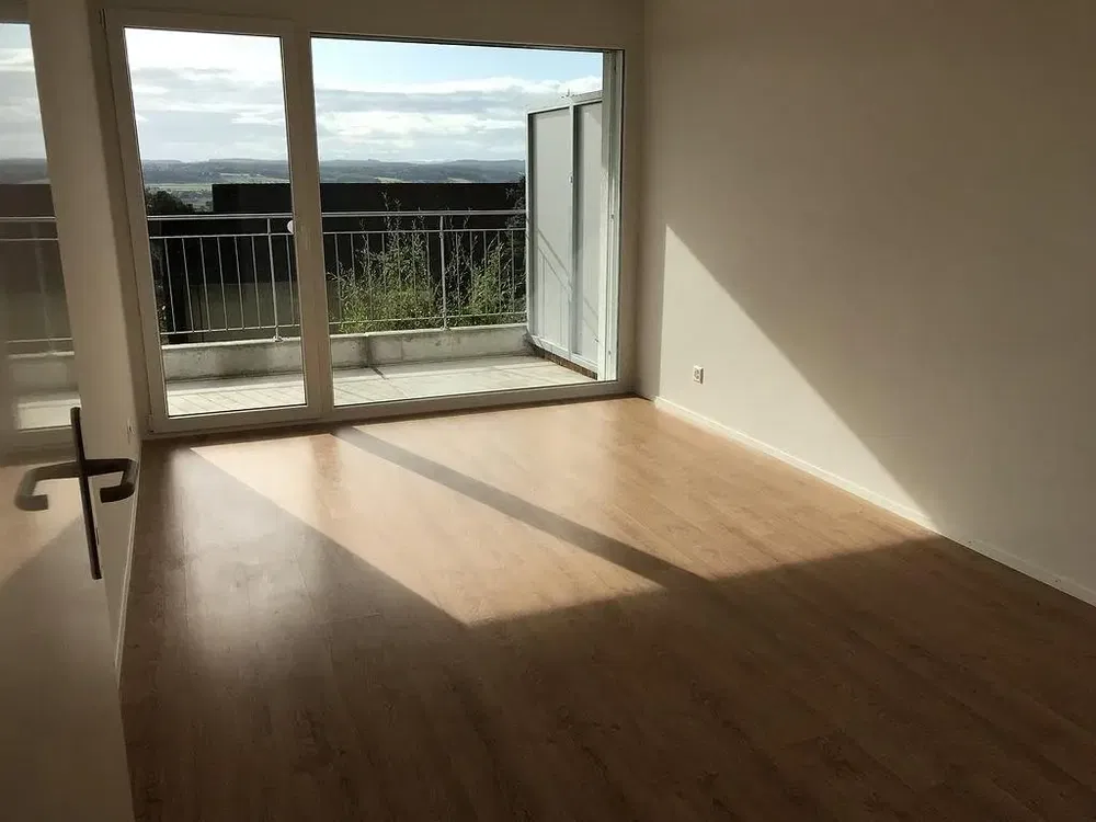 Wohnzimmer; blick, holzboden, tageslicht