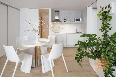Küche; tageslicht, moderner stil