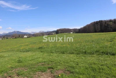 Ev ve çevresi; manzara