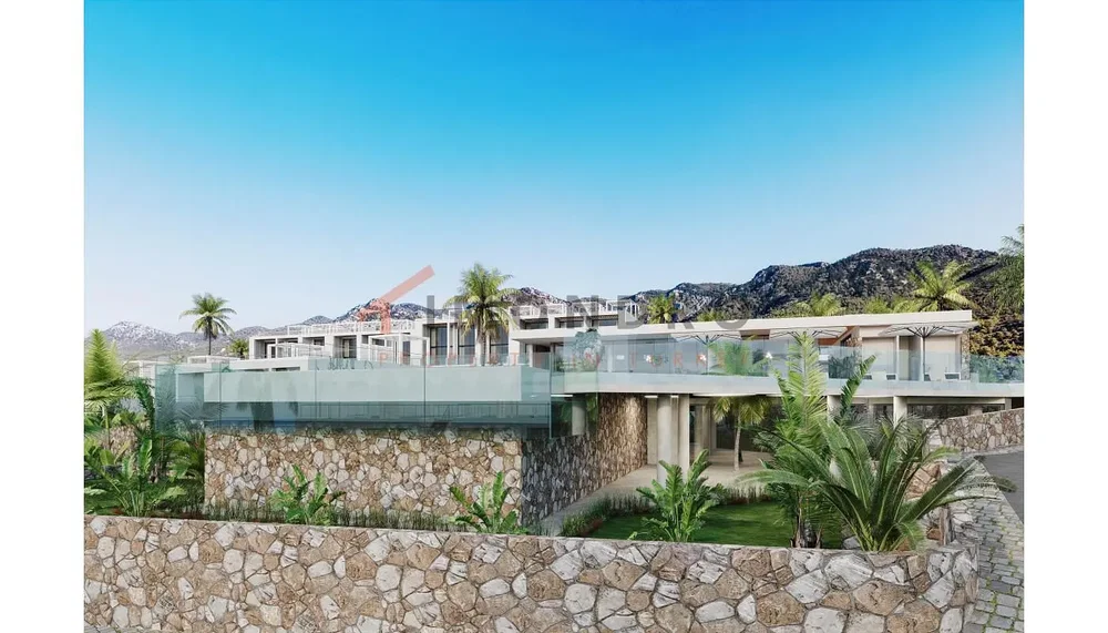 House and surroundings; view