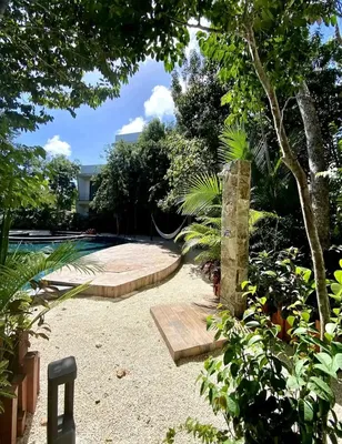 Maison et environs; vue, lumière naturelle