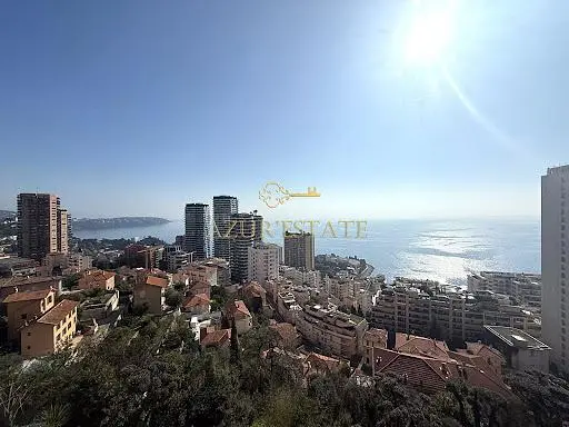 Other; view