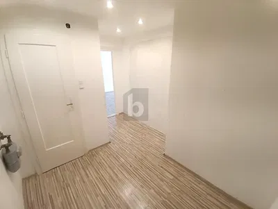 Άλλο; ξύλινο πάτωμα, φυσικό φως