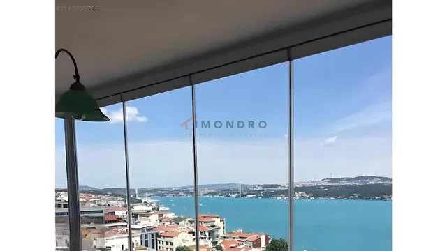 Living room; view, natural light