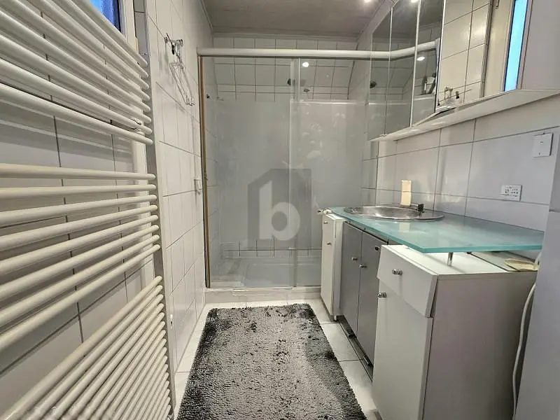 Badkamer; tegelvloer, gerenoveerd, natuurlijk licht, moderne stijl