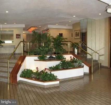 House and surroundings; natural light