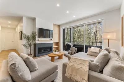 Σαλόνι; τζάκι, φυσικό φως, μοντέρνο στυλ