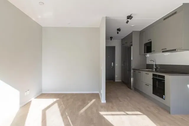 Kitchen; kitchen appliances, natural light, modern style, wood floor
