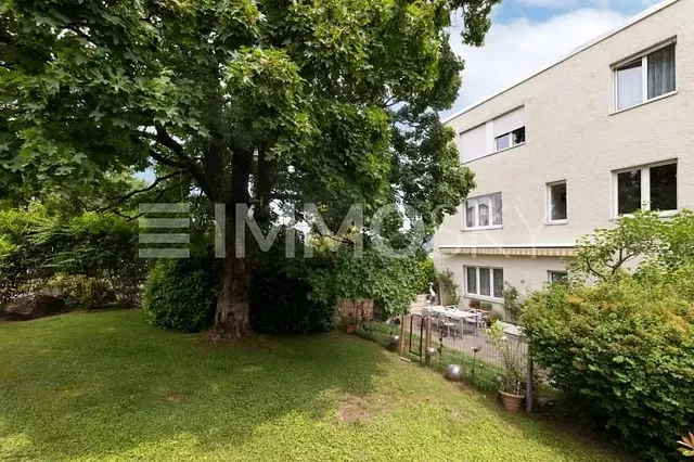 Maison et environs; vue, lumière naturelle