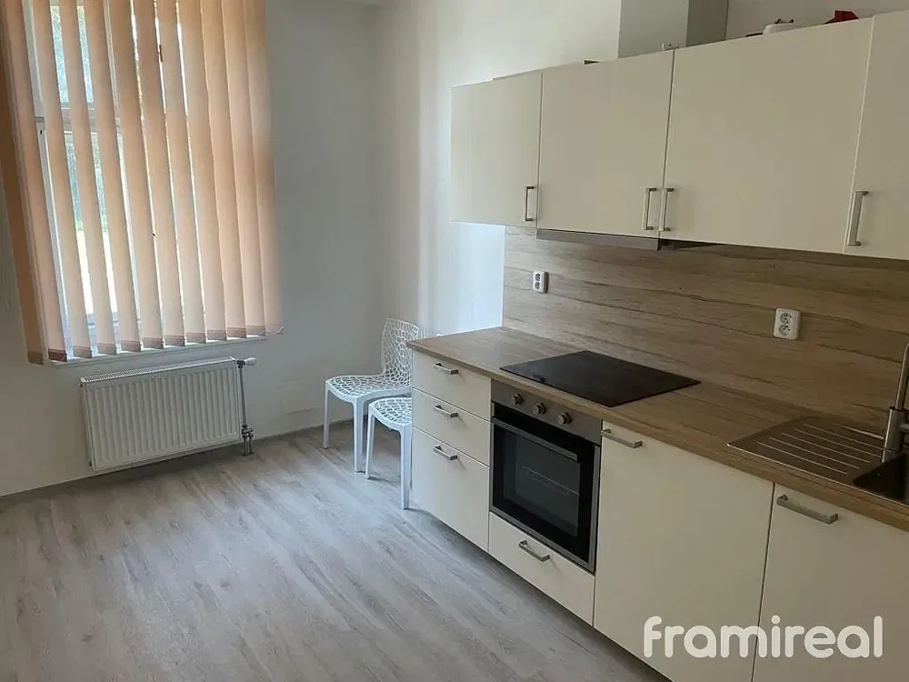 Kuchyně; kuchyňské spotřebiče, přirozené světlo, moderní styl
