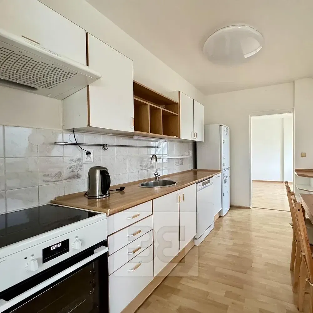 Kuchyně; dlažba, dřevěná podlaha, přirozené světlo, moderní styl, kuchyňské spotřebiče