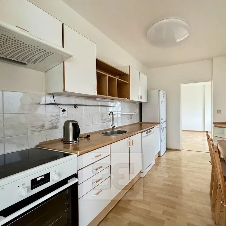 Kuchyně; dlažba, dřevěná podlaha, přirozené světlo, moderní styl, kuchyňské spotřebiče