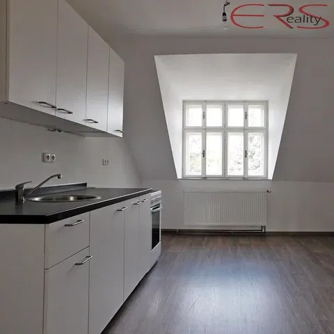 Kuchyňa; kuchynské spotrebiče, prirodzené svetlo, moderný štýl, drevená podlaha