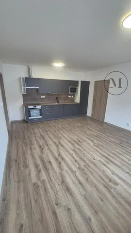 Küche; holzboden, renoviert, tageslicht