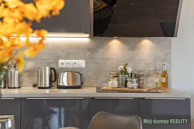 Kitchen; kitchen appliances, renovated, modern style