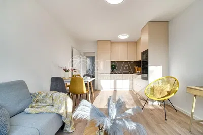 Obývací pokoj; moderní styl, přirozené světlo