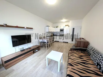 Salón; estilo moderno, suelo de madera, luz natural