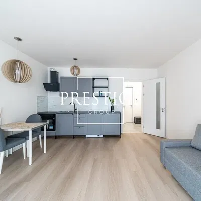 Wohnzimmer; blick, moderner stil, tageslicht