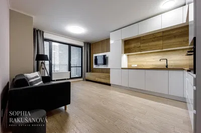 Sala de estar; estilo moderno, luz natural, chão de madeira, renovado