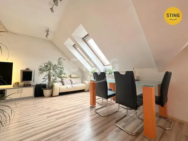 Living room; natural light, wood floor, modern style