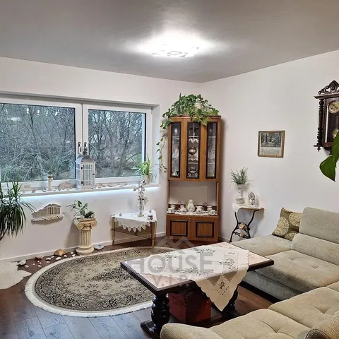 Living room; natural light, rustic style